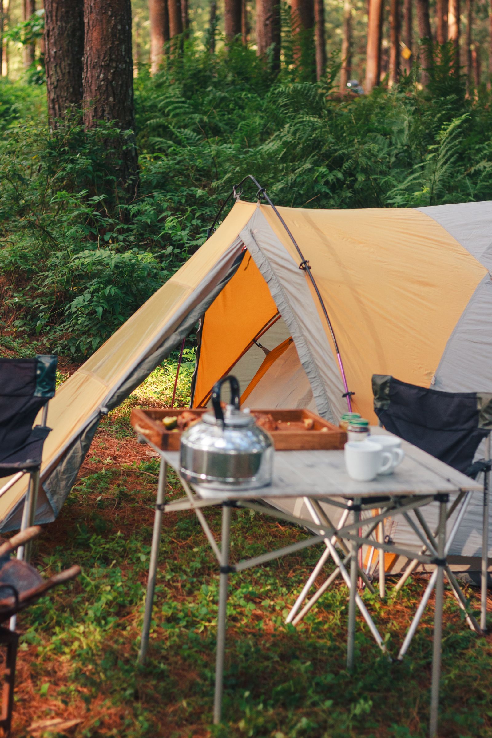 A tent and camping table in a green forest